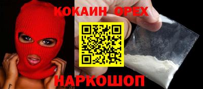 спиды Кингисепп