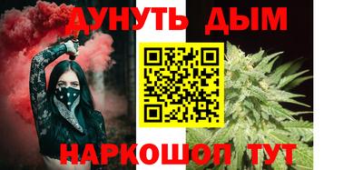 спиды Кингисепп