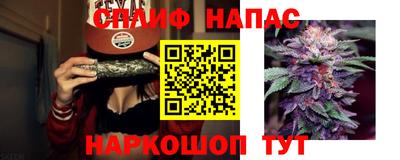 шишки Кинель
