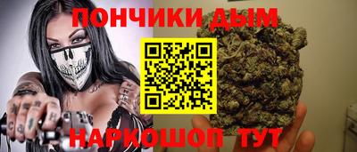 спиды Кингисепп