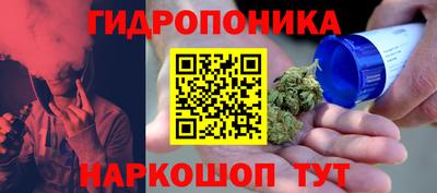 шишки Кинель