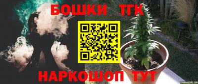 спиды Кингисепп