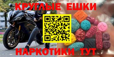 спиды Кингисепп