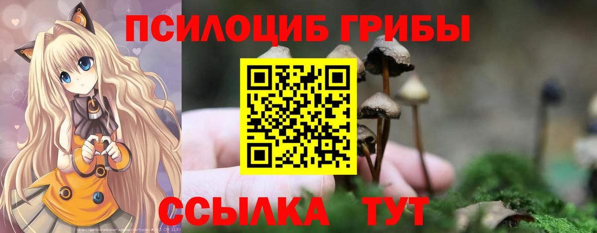 Кстово  Галлюциногенные грибы мухоморы  Вход с VPN 